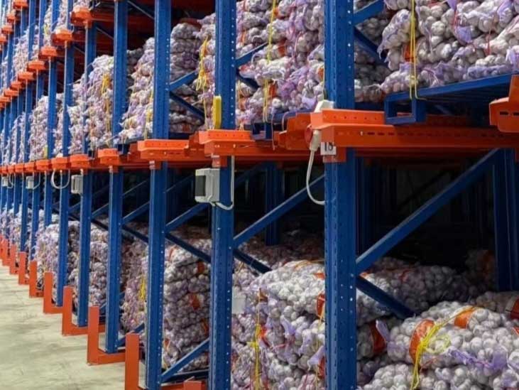大蒜加工廠備貨